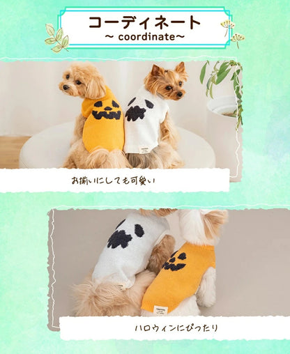 ティノティート TINOTITO パンプキンニット【小型犬 犬服 ドッグウェア トップス ニット セーター】