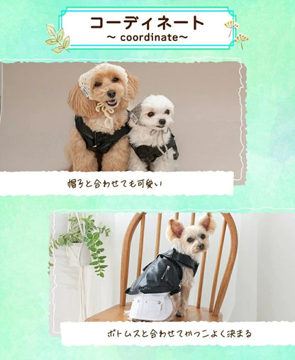 ティノティート TINOTITO ライダースジャケット【小型犬 犬服 ドッグウェア アウター ベスト ジャケット】