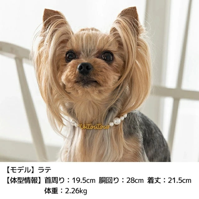 アントゥトゥ Un TouTou UTネックレス Free【小型犬 犬用 小物 アクセサリー ネックレス セレブ】