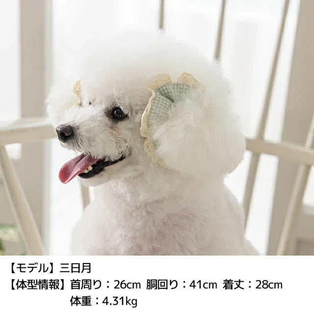 アントゥトゥ Un TouTou イヤーシュシュ Free【小型犬 犬用 ヘアアクセサリー シュシュ セレブ】