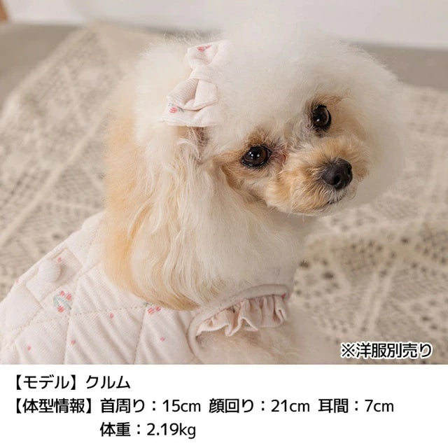 アントゥトゥ Un TouTou コーデュロイリボン Free【小型犬 犬用 ヘアアクセサリー セレブ】