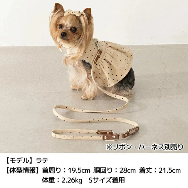 アントゥトゥ Un TouTou ドット柄リード【小型犬 犬用 リード お散歩 セレブ】
