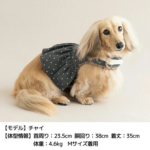 アントゥトゥ Un TouTou ドット柄ハーネス【小型犬 犬用 ハーネス お散歩 セレブ】