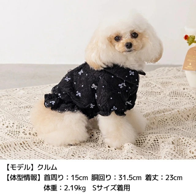 アントゥトゥ Un TouTou リボン柄バルーンブラウス【小型犬 犬服 トップス ブラウス シャツ セレブ】