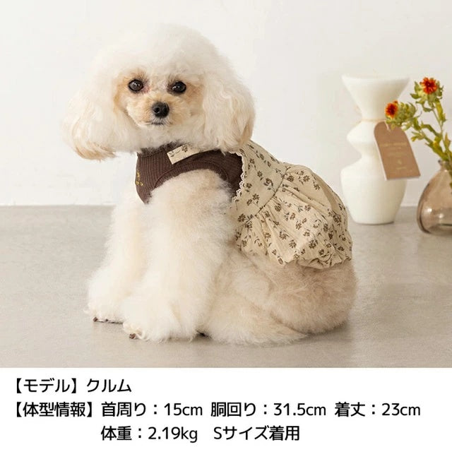 アントゥトゥ Un TouTou 小花柄アンサンブルワンピ【小型犬 犬服 ワンピース スカート ドレス セレブ】