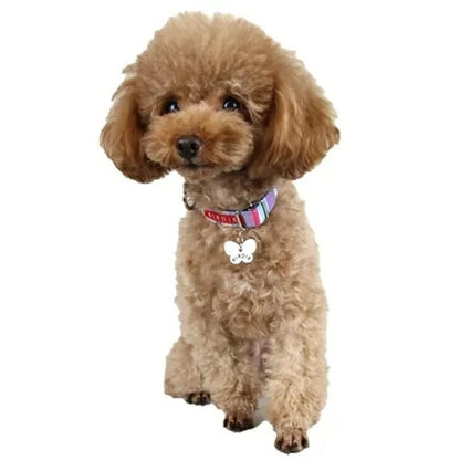 バーディ BIRDIE マルチボーダーカラー【小・中型犬 犬用 カラー 首輪 セレブ】