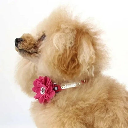 バーディ BIRDIE ロゼットデニムIDカラー【犬用 IDタグ カラー 首輪 セレブ】