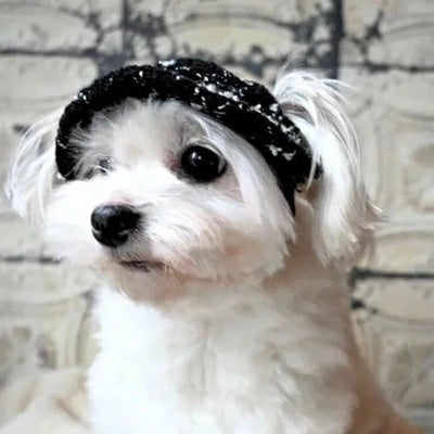 ★受注生産★ガーデン オブ エデン Garden of Eden ファンシーツイードHAT【小型犬 セレブ 帽子 ハット】