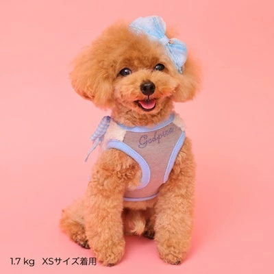 ゴッドピヴァ GODPIVA★ご予約★テラボアふわもこルームタンク （リボン柄）【小型犬 犬服 トップス タンクトップ セレブ】