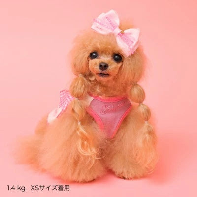 ゴッドピヴァ GODPIVA★ご予約★テラボアふわもこルームタンク （リボン柄）【小型犬 犬服 トップス タンクトップ セレブ】