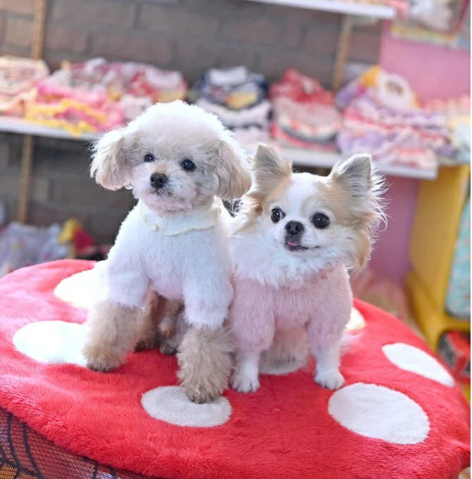 J&Kアニマルズ J&K animals☆予約受付中☆シャギーインナー【小型犬 犬服 トップス インナー】