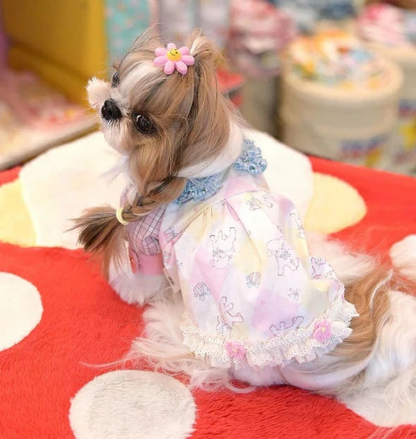 J&Kアニマルズ J&K animals☆予約受付中☆メイちゃんシャツOP【小型犬 犬服 トップス シャツ ワンピース ドレス】