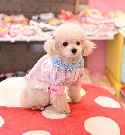J&Kアニマルズ J&K animals☆予約受付中☆メイちゃんシャツOP【小型犬 犬服 トップス シャツ ワンピース ドレス】