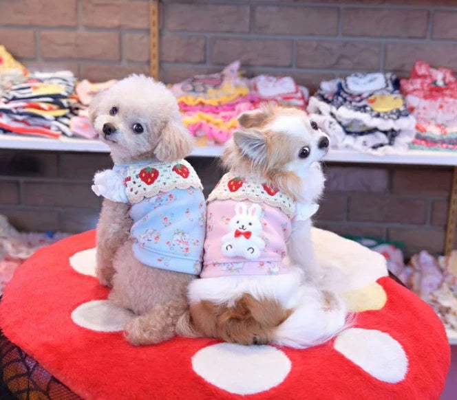 J&Kアニマルズ J&K animals☆予約受付中☆いちごうさぎセーター【小型犬 犬服 トップス セーター ニット】