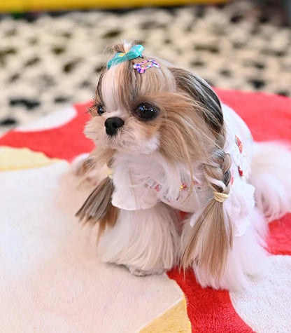 J&Kアニマルズ J&K animals☆予約受付中☆いちごうさぎセーター【小型犬 犬服 トップス セーター ニット】