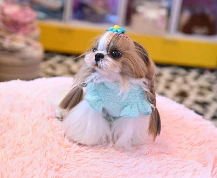 J&Kアニマルズ J&K animals☆予約受付中☆ハンバーガーセーター【小型犬 犬服 トップス セーター ニット】