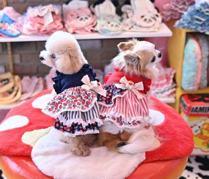 J&Kアニマルズ J&K animals☆予約受付中☆ストライプいちごOP【小型犬 犬服 ワンピース スカート ドレス】