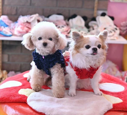 J&Kアニマルズ J&K animals☆予約受付中☆ストライプいちごOP【小型犬 犬服 ワンピース スカート ドレス】