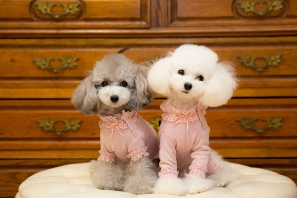 ブルブブ BUL BU-BU インナーロンパス ショート丈【小型犬 犬服 トップス キャミソール セレブ】