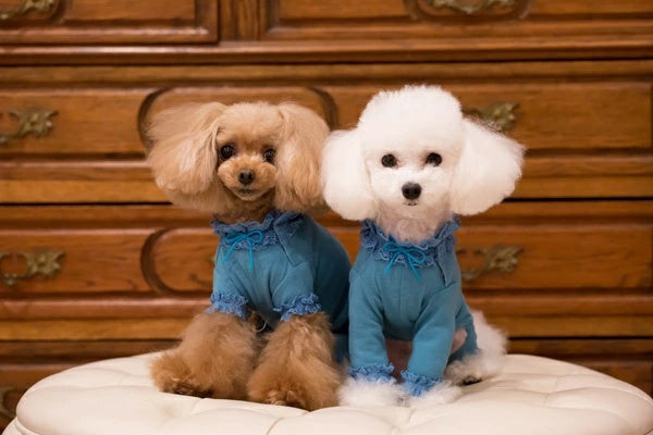 ブルブブ BUL BU-BU インナーロンパス ロング丈【小型犬 犬服 トップス キャミソール セレブ】