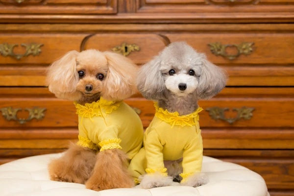 ブルブブ BUL BU-BU インナーロンパス ロング丈【小型犬 犬服 トップス キャミソール セレブ】