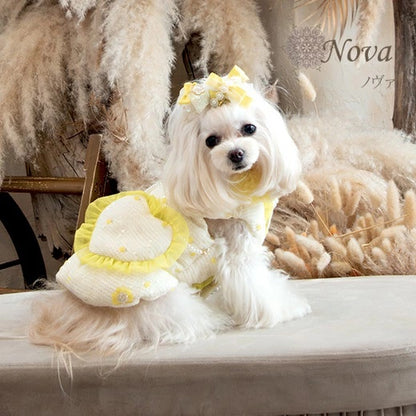 グラマーイズム Glamourism ノヴァ（Nova）【小型犬 犬服 トップス アウター コート セレブ】