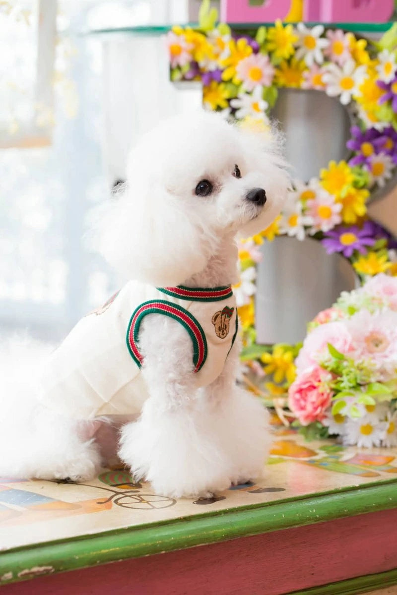 ブルブブ BUL BU-BU くまちゃんT/K【小型犬 犬服 トップス タンクトップ ノースリーブ セレブ】