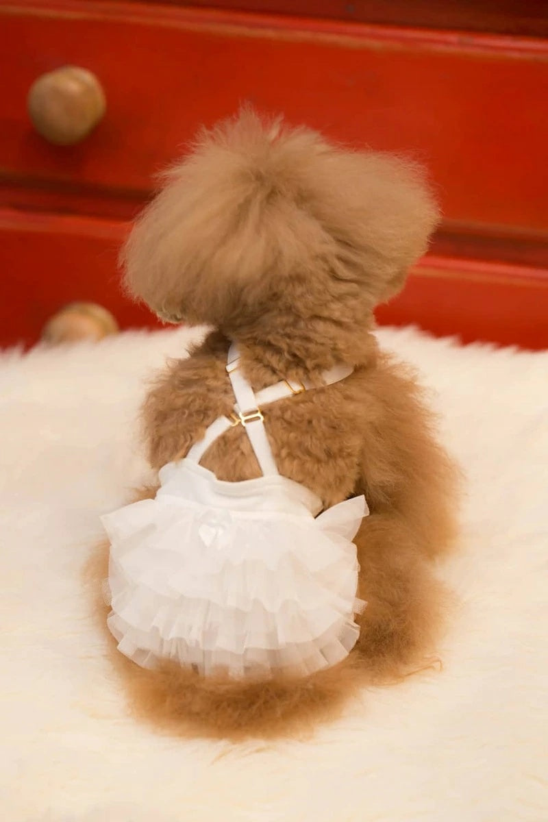 ブルブブ BUL BU-BU マナーブルマ【小型犬 犬服 ボトムス ブルマ お散歩 マナー セレブ】