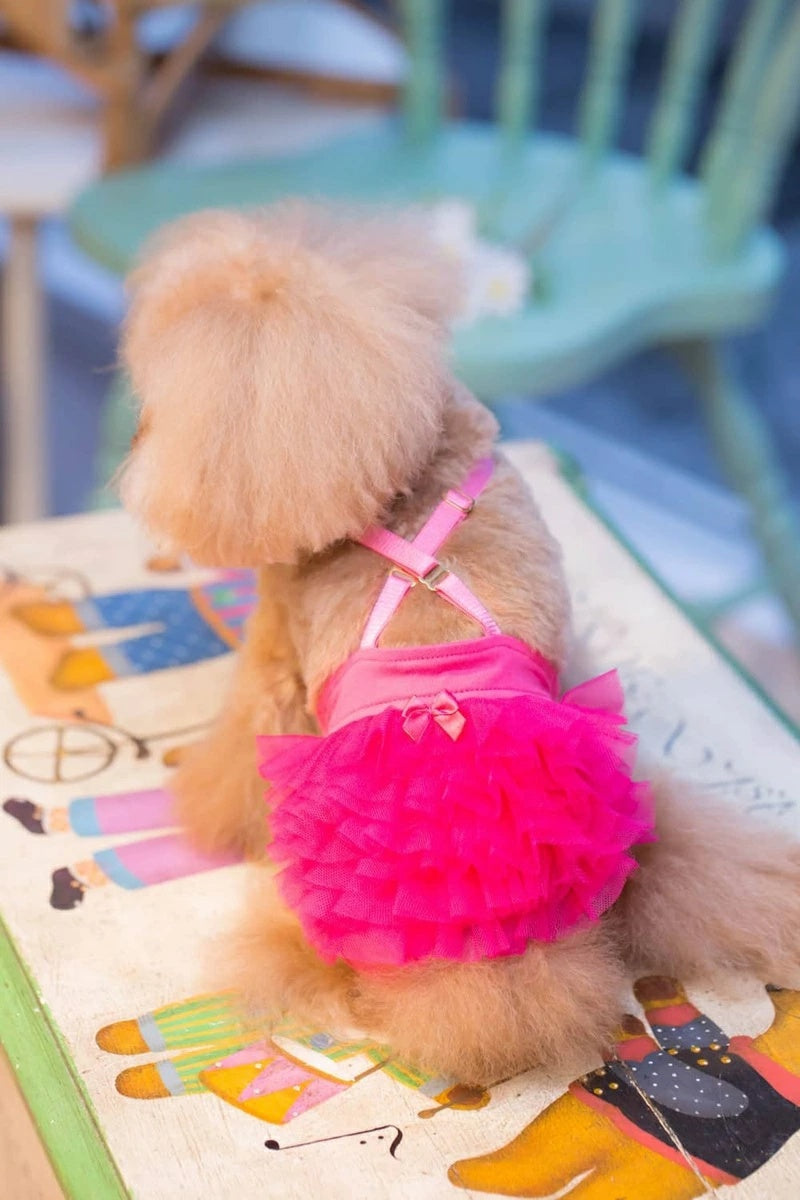 ブルブブ BUL BU-BU マナーブルマ【小型犬 犬服 ボトムス ブルマ お散歩 マナー セレブ】