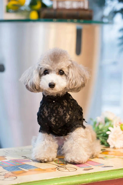 ブルブブ BUL BU-BU レーシーインナーTee【小型犬 犬服 トップス Tシャツ インナー セレブ】