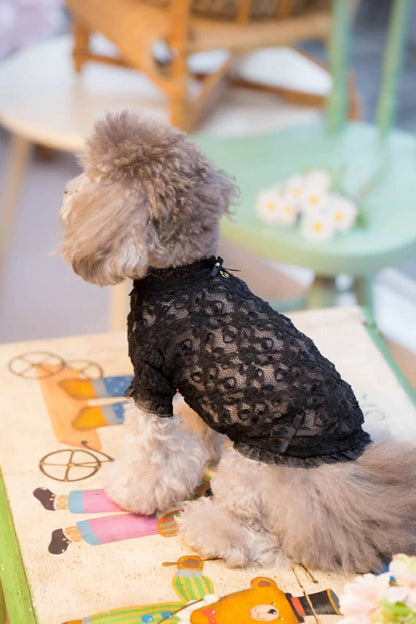 ブルブブ BUL BU-BU レーシーインナーTee【小型犬 犬服 トップス Tシャツ インナー セレブ】