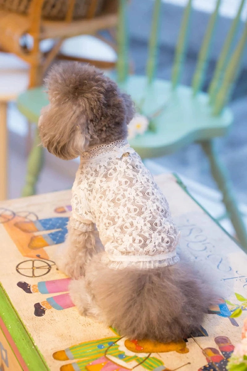 ブルブブ BUL BU-BU レーシーインナーTee【小型犬 犬服 トップス Tシャツ インナー セレブ】