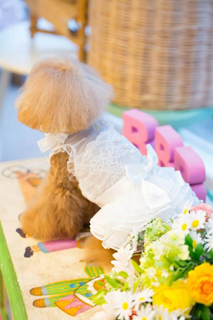 ブルブブ BUL BU-BU Classical 2WAY O/P【小型犬 犬服 ワンピース ドレス スカート セレブ】
