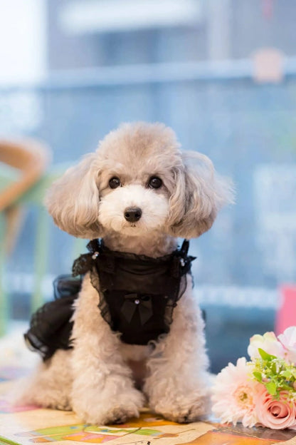 ブルブブ BUL BU-BU Classical 2WAY O/P【小型犬 犬服 ワンピース ドレス スカート セレブ】