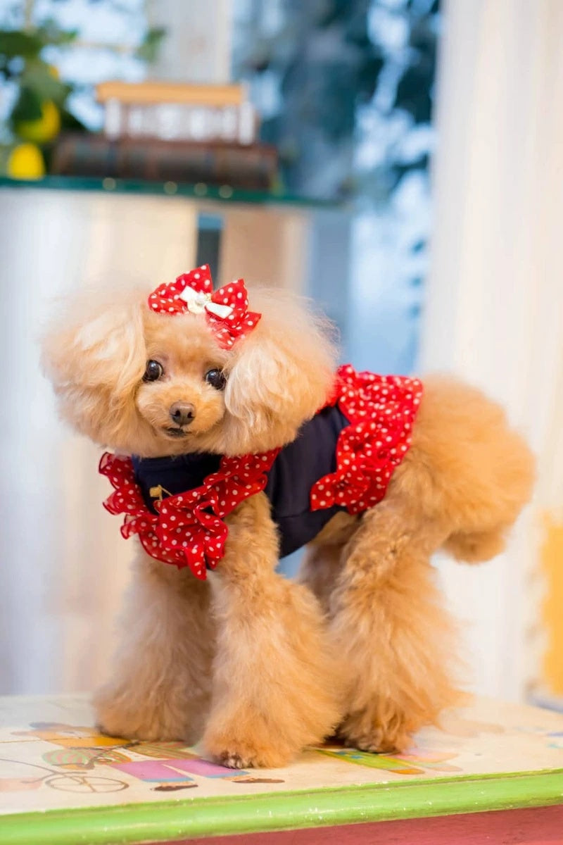 ブルブブ BUL BU-BU ドット柄バレッタ【小型犬 犬用 ヘアアクセサリー バレッタ セレブ】