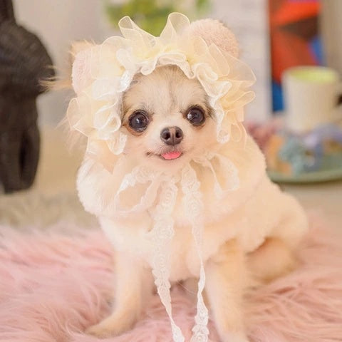 きゃんナナ CanNana ベビくまヘッドドレス HD-033 ☆11月末入荷予定☆【小型犬 ヘッドドレス ヘアーアクセサリー】