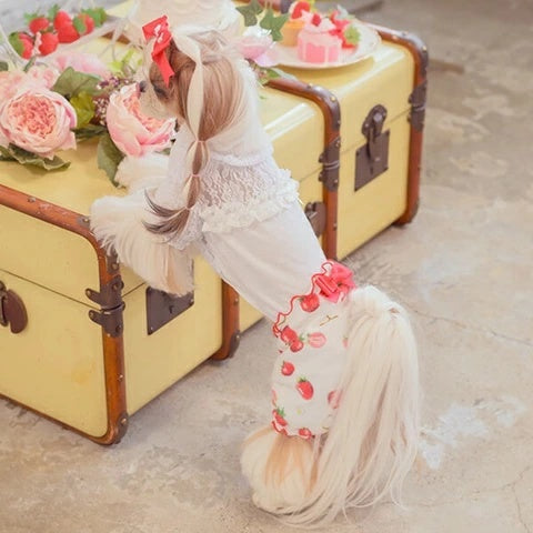 きゃんナナ CanNana かぶってはける いちごパンツ 1170【小型犬 犬服 ボドムス パンツ ズボン】