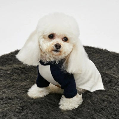 ルイスドッグ louisdog DUO Cashmere Sweater【小型犬 犬服 トップス セーター ニット セレブ】