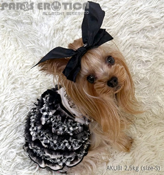 パリエロ PARIERO PINK GOLD Ruffle Dress [数量限定]【小型犬 犬服 ワンピース ドレス スカート セレブ】