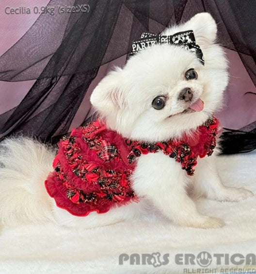 パリエロ PARIERO PINK GOLD Ruffle Dress [数量限定]【小型犬 犬服 ワンピース ドレス スカート セレブ】