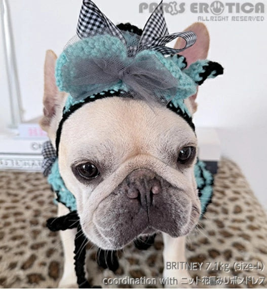 パリエロ PARIERO ニットヘッドドレス #2 [受注限定]【小型犬 犬用 帽子 ニット帽 セレブ】
