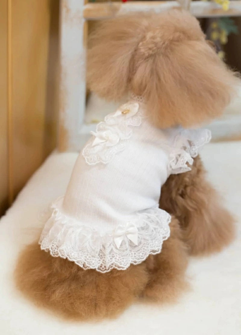 ブルブブ BUL BU-BU プリーツTOPS【小型犬 犬服 トップス  ウェア セレブ】
