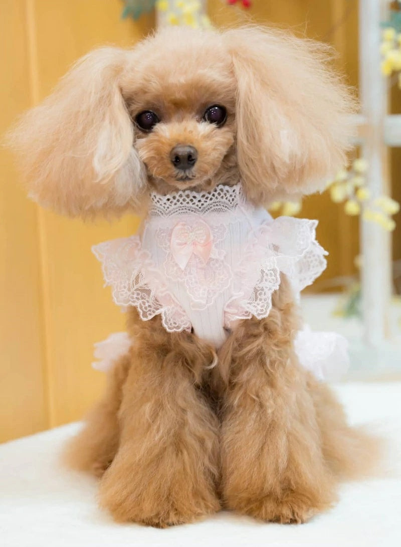 ブルブブ BUL BU-BU プリーツTOPS【小型犬 犬服 トップス  ウェア セレブ】