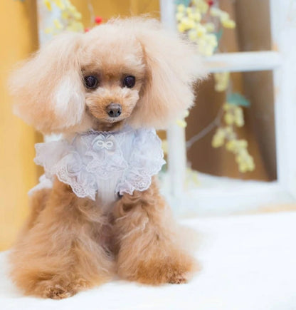 ブルブブ BUL BU-BU プリーツTOPS【小型犬 犬服 トップス  ウェア セレブ】