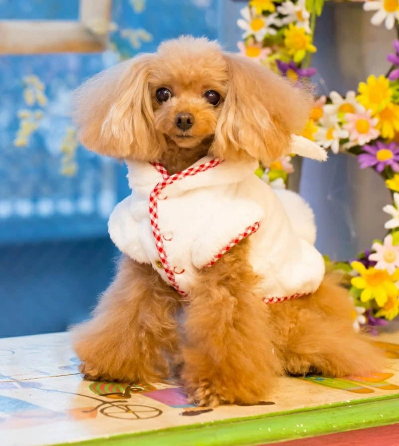ブルブブ BUL BU-BU うさこファーパーカー【小型犬 犬服 トップス パーカー フーディ セレブ】