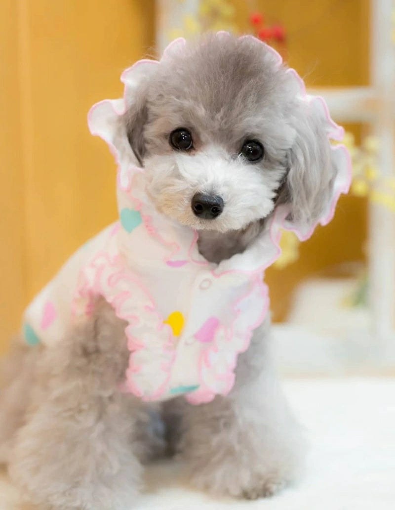 ブルブブ BUL BU-BU カラフルハートキルティングP/K【小型犬 犬服 トップス パーカー セレブ】