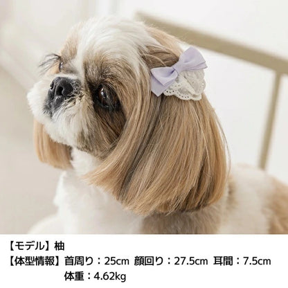 アントゥトゥ Un TouTou レース付きサテンリボン Free【小型犬 犬用 ヘアアクセサリー セレブ】
