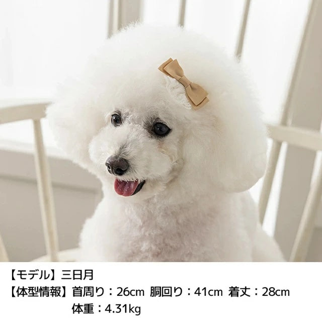 アントゥトゥ Un TouTou レース付きサテンリボン Free【小型犬 犬用 ヘアアクセサリー セレブ】
