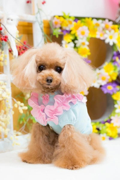 ブルブブ BUL BU-BU LOVE パフスリーブTee【小型犬 犬服 トップス Tシャツ セレブ】