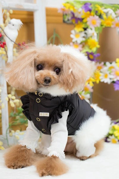 ブルブブ BUL BU-BU キラキラベア中綿P/K【小型犬 犬服 アウター ジャケット セレブ】